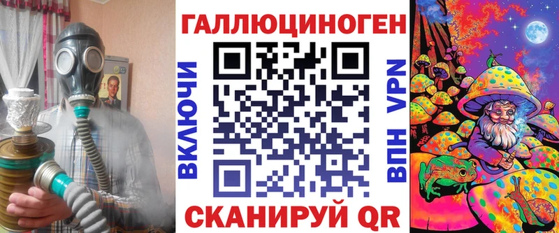 закладка  Сенгилей  Псилоцибиновые грибы Psilocybine cubensis 